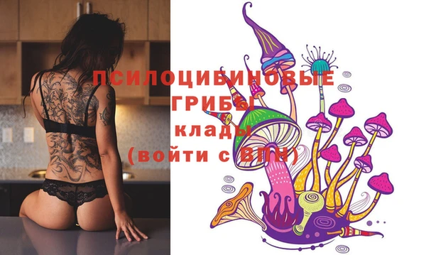 хмурый Балахна