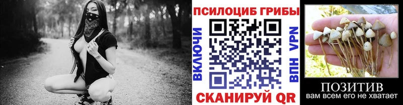 Псилоцибиновые грибы Psilocybine cubensis  закладки  Коломна 